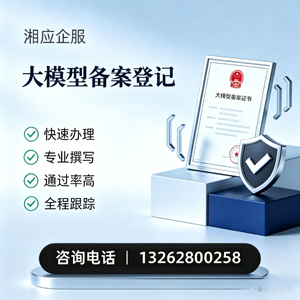北京大模型备案申报服务