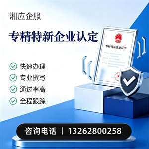 北京专精特新企业申报服务