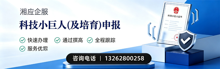 北京科技小巨人及培育企业申报服务
