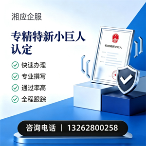 北京专精特新小巨人申报服务