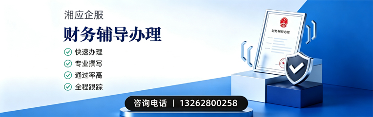 北京财务辅导申请服务
