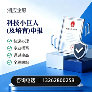 北京科技小巨人及培育企业申报服务