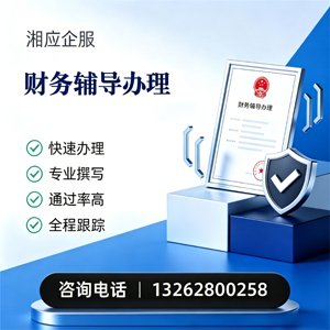 北京财务辅导申请服务