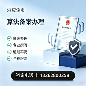 北京算法备案申报服务