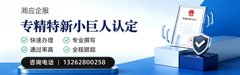 北京专精特新小巨人申报服务